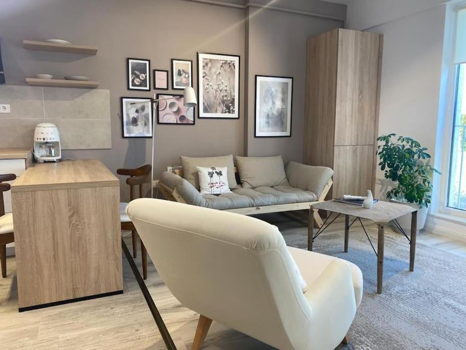 Shi Ti Junior Suite Iasi Exterior photo