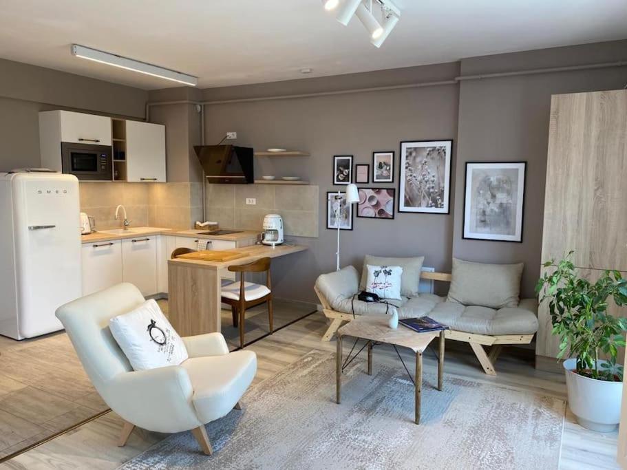 Shi Ti Junior Suite Iasi Exterior photo